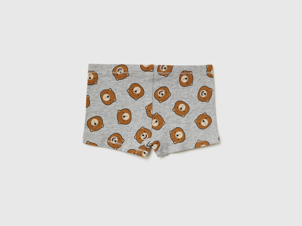 Boxer orsetti